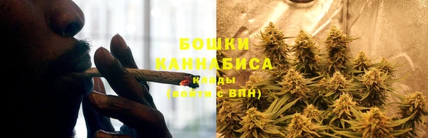 ГАЛЛЮЦИНОГЕННЫЕ ГРИБЫ Волосово