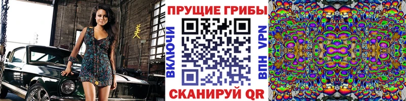 Псилоцибиновые грибы GOLDEN TEACHER  Купить закладки  Бавлы 