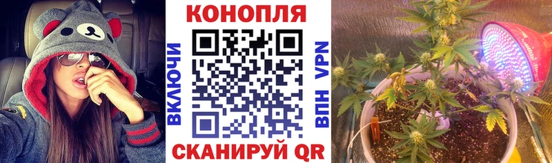 Бошки марихуана SATIVA & INDICA Бавлы